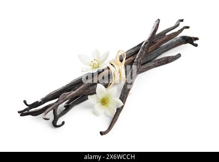 Gousses de vanille et fleurs isolées sur blanc Banque D'Images