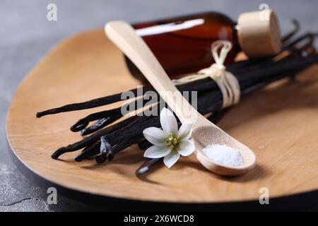 Cuillère de sucre, fleur, gousses de vanille et bouteille d'huile essentielle sur la table grise, gros plan Banque D'Images