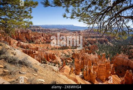 Spire Like Hoodoos - formation géologique frappante dans le parc national de Bryce Canyon, Utah, États-Unis, le 24 avril 2024 Banque D'Images