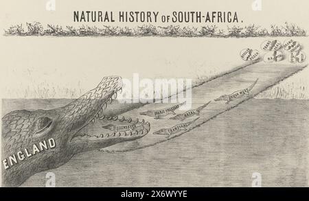 Le crocodile anglais mange sa propre progéniture, 1877, Natural History of South-Africa (titre sur objet), annexion du Transvaal, par un Africain (titre de la série sur objet), le crocodile anglais mange sa propre progéniture juste éclos d'œufs rampés. Les cinq petits crocodiles sont nommés : Stellenbosch, Transvaal, Orange Free State, Natal, Griqua West. Fait partie de la série de onze caricatures sur l'annexion britannique du Transvaal en 1877., print, print maker : Anonymous, Zuid-Afrika, (possiblement), 1877 - 1880, papier, hauteur c. 218 mm × largeur c. 350 mm Banque D'Images