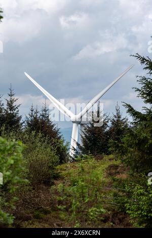 Une seule éolienne se tient haute contre un ciel nuageux, entourée d'une forêt dense Banque D'Images