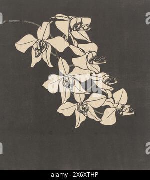 Orchidées, Une branche avec sept orchidées sur fond sombre., estampe, imprimeur : Samuel Jessurun de Mesquita, (signé par l'artiste), c. 1916, papier, hauteur, 343 mm × largeur, 297 mm Banque D'Images