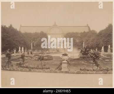 Jardin botanique de la flore à Cologne, photographie, anonyme, Cologne, 1883 - 1900, papier, impression albumen, hauteur, 201 mm × largeur, 261 mm, hauteur, 300 mm × largeur, 361 mm Banque D'Images