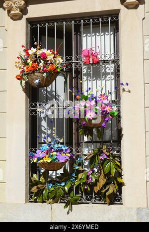 Temps d'exposition des fleurs de Gérone-2024, Catalogne, Espagne Banque D'Images