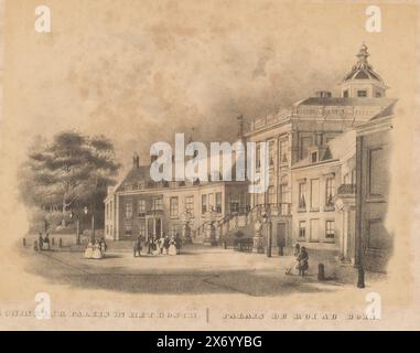 Huis Ten Bosch à la Haye, Palais Royal à la Bosch, Palais de Roiau bois (titre sur objet), estampe, imprimeur : anonyme, 1825 - 1875, papier, hauteur, 265 mm × largeur, 358 mm Banque D'Images