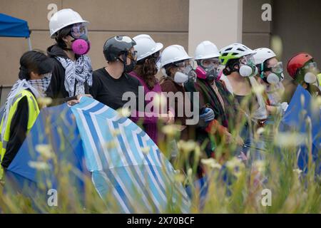 Irvine, Californie, États-Unis. 1er janvier 2023. Les manifestants forment une ligne devant les barricades menant à leur campement équipé de casques de sécurité, de lunettes, de masques et de parapluies pour repousser les avancées des officiers. Des agents de nombreux services de police autour du comté d'Orange, en Californie, ont été appelés sur le campus d'Irvine de l'Université de Californie (UC) pour nettoyer un campement palestinien en pleine expansion prenant le contrôle du centre de l'Université. Les étudiants se barricadèrent en cercle, fortifiant leur périmètre avec des palettes de bois et divers autres objets pour empêcher les autorités d'entrer. Un total de 50 Banque D'Images