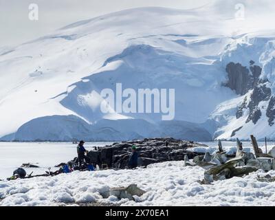 Guide d’expédition et touriste sur L’île D’Hainaut, port de Mikkelsen, île de Trinity, Antarctique Banque D'Images