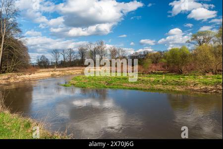 La rivière Odra sinueuse près de la conflzence avec la rivière Ondtejnice au début du printemps CGJO Poodri en république tchèque Banque D'Images