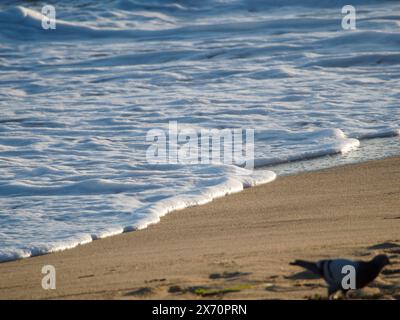 De belles vagues d'eau courbes sont utilisées comme image de fond. Vague océanique. Spectaculaire photo de fond aérienne supérieure de la vague blanche de l'eau de mer de l'océan spla Banque D'Images