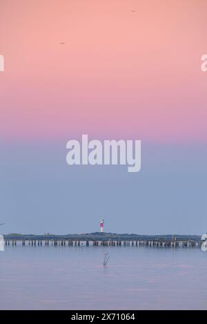 Coucher de soleil d'hiver avec mer calme dans la baie de Fangar, dans le delta de l'Èbre (Tarragone, Catalogne, Espagne) ESP : Atardecer invernal con el mar calmado en el Delta Ebro Banque D'Images