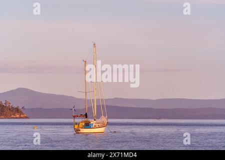 Yacht à l'ancre dans les eaux calmes de Port Esperance, Douvres, Tasmanie Banque D'Images