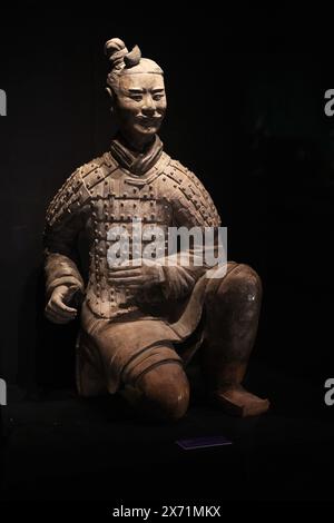 (240517) -- XI'AN, 17 mai 2024 (Xinhua) -- Un guerrier en terre cuite est exposé au Musée d'histoire du Shaanxi à Xi'an, capitale de la province du Shaanxi au nord-ouest de la Chine, le 15 avril 2024. Plus de 1 500 reliques culturelles de la dynastie Qin (221 av. J.-C. - 206 av. J.-C.) et de la dynastie Han (206 av. J.-C. - 220 av. J.-C.) seront exposées au cours d'une exposition célébrant la Journée internationale des musées. (Xinhua/Li Yibo) Banque D'Images