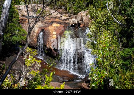 Chutes d'Avre, parc national des montagnes Hartz, Tasmanie Banque D'Images