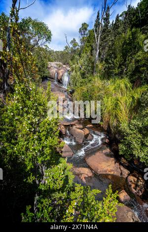 Chutes d'Avre, parc national des montagnes Hartz, Tasmanie Banque D'Images