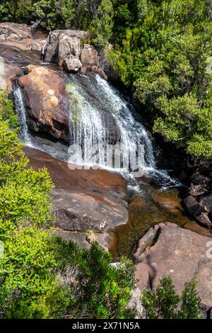 Chutes d'Avre, parc national des montagnes Hartz, Tasmanie Banque D'Images