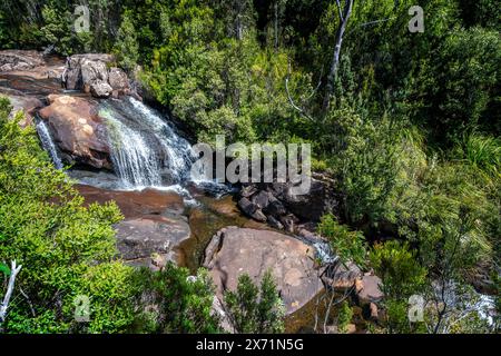 Chutes d'Avre, parc national des montagnes Hartz, Tasmanie Banque D'Images