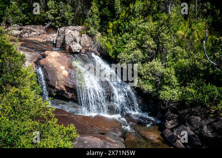 Chutes d'Avre, parc national des montagnes Hartz, Tasmanie Banque D'Images