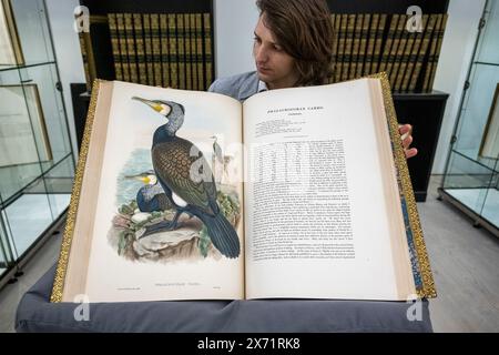 Londres, Royaume-Uni. 17 mai 2024. Un membre du personnel présente l’un des « folios de Gould, uniformément reliés en cuir marocain, comprenant l’une des plus belles illustrations d’oiseaux jamais réalisées », en vente chez Peter Harrington pour £2 000 000. À First London 2024, le salon du livre rare à la Saatchi Gallery. Plus de 100 marchands internationaux présentent rare une large gamme de livres, manuscrits, estampes jusqu'au 19 mai sous le thème cette année de 'L'Art du Livre'. Credit : Stephen Chung / Alamy Live News Banque D'Images