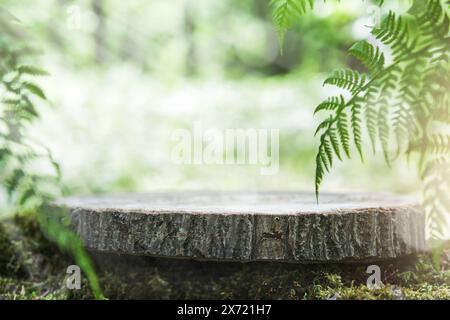 Souche de stand en bois vide dans la mousse avec des feuilles de fougères et des fleurs blanches dans un fond de forêt vert flou naturel extérieur. Contexte pour produit naturel Banque D'Images