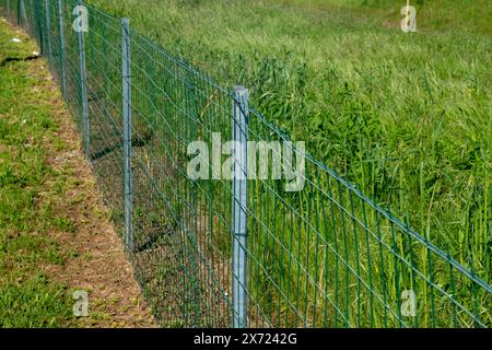 Clôture de frontière dans un champ avec poteau en acier galvanisé et maille rectangulaire électro-soudée. Les limites de la propriété sont délimitées par des poteaux et des filets. Banque D'Images