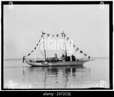 Charlietta, attribution basée sur le style du titre et de la numérotation., '275' sur négatif., No Detroit Publishing Co. no., cadeau ; State Historical Society of Colorado ; 1949, Charlietta (yacht à vapeur), yachts à vapeur. Banque D'Images