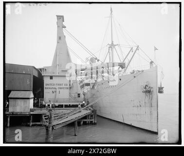 United fruit Company Banana Conducors, Nouvelle-Orléans, La., titre tiré de la veste., 'G 6903' sur négatif., Detroit Publishing Co. No. 039636., Gift ; State Historical Society of Colorado ; 1949, Cartaco (cargo), Bananas. , Industrie fruitière. , Expédition. , Cargos. , États-Unis, Louisiane, Nouvelle-Orléans. Banque D'Images