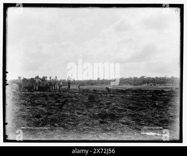 Pitch Lake, Trinidad, W.I., date basée sur Detroit, catalogue J (1901)., Men Digging asphalt., '45' sur négatif., Detroit Publishing Co. no. 08907., Gift ; State Historical Society of Colorado ; 1949, ouvriers. , Industrie du minerai. , Trinité-et-Tobago, Pitch Lake. Banque D'Images