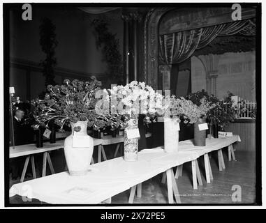 Expositions, American Carnation Society Exhibition, Detroit, Mich., titre tiré de la veste., Detroit Publishing Co. No. 043063., Gift ; State Historical Society of Colorado ; 1949, Flower Shows. , Œillets. , Intérieurs. , États-Unis, Michigan, Detroit. Banque D'Images