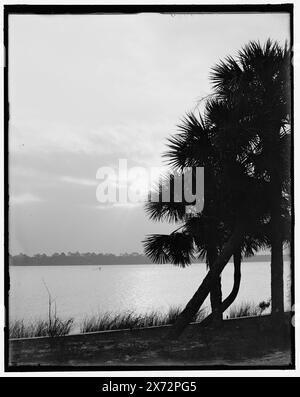 Lever de soleil ou clair de lune sur le Halifax, Ormond, Fla., titre de veste., 'G 7734' sur négatif., Detroit Publishing Co. No. 500126., Gift ; State Historical Society of Colorado ; 1949, Waterfronts. , Levers et couchers de soleil. , États-Unis, Floride, Ormond Beach. , États-Unis, Floride, Halifax River. Banque D'Images