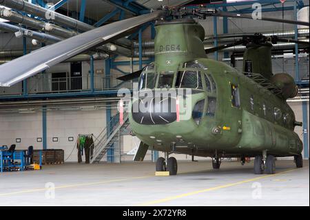 Hélicoptère Chinook Chopper Chinook CH-47 de qualité militaire, garé pour la maintenance à l'intérieur d'un hangar de la base aérienne. Gilze-Rijen, pays-Bas. Gilze-Rijen Vliegbasis Gilze-Rijen Noord-Brabant Nederland Copyright : xGuidoxKoppesxPhotox Banque D'Images