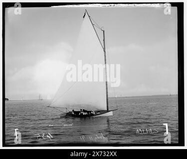 Zelica, attribution basée sur le style du titre et de la numérotation., '435' sur négatif., No Detroit Publishing Co. no., cadeau ; State Historical Society of Colorado ; 1949, Zelica (Yacht) , Yachts. Banque D'Images
