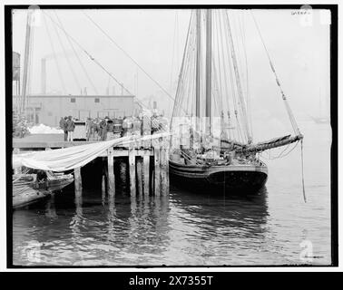 Goélette de pêche au quai 't', Boston, Mass., titre de veste., '1683' sur négatif., Detroit Publishing Co. no. 033316., Gift ; State Historical Society of Colorado ; 1949, Mary G. Powers (Schooner), Fishing Industry. , Quais et quais. , Bateaux. , États-Unis, Massachusetts, Boston. Banque D'Images