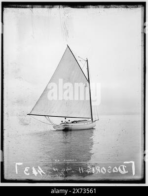 Dosoris II, attribution basée sur le style du titre et de la numérotation., 'July 22, '96, Lt.' et '443' sur négatif., probablement Larchmont Yacht Club., No Detroit Publishing Co., Gift ; State Historical Society of Colorado ; 1949, Dosoris II (Yacht) , Yachts. Banque D'Images