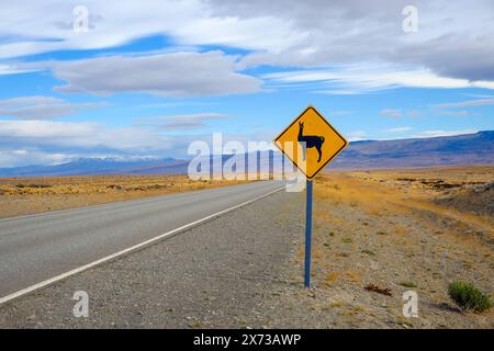 El Calafate, Patagonien, Argentinien - Straßenschild warnt vor Guanakos entlang der wenig befahrene Landstrasse zwischen El Calafate und El ChaltÃ n. Das Guanako, auch Huanako genannt, ist eine wildlebende Art innerhalb der Familie der Kamele. Es lebt vor allem im westlichen und südlichen Südamerika und ist die Stammform des domestizierten Lamas. Die Fluchttiere verenden oft beim Versuch Zaeune entlang der Landstrasse zu überspringen. El Calafate Patagonien Argentinien *** El Calafate, Patagonie, Argentine un panneau routier avertit des guanacos le long de la route peu fréquentée entre El Calafate et El Banque D'Images