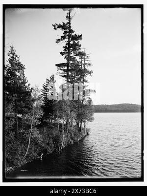 Lower, Regis Lake, Adirondack MTS., N.Y., titre tiré de la veste., 'G 1469' sur négatif., Detroit Publishing Co. No. 033211., Gift ; State Historical Society of Colorado ; 1949, Lakes & Ponds. , États-Unis, New York (État), Adirondack Mountains. , États-Unis, New York (État), Lower Saint Regis Lake. Banque D'Images