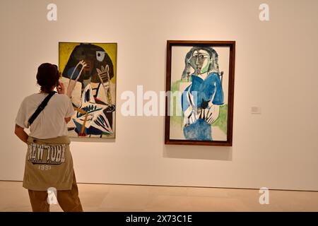 Exposition « L’écho de Picasso » dans la galerie d’art du Musée Picasso, Málaga, Espagne, visiteur regardant des peintures de Picasso Banque D'Images