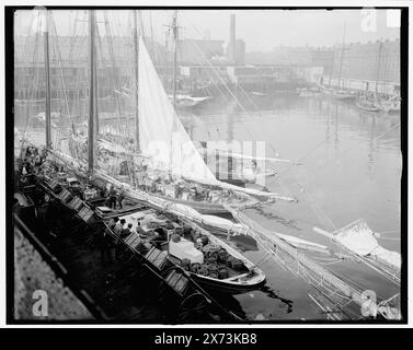 Déchargement du poisson au quai 't', Boston, Mass., titre de la veste., '1685' sur négatif., Detroit Publishing Co. no. 033317., Gift ; State Historical Society of Colorado ; 1949, industrie de la pêche. , Quais et quais. , Bateaux. , États-Unis, Massachusetts, Boston. Banque D'Images