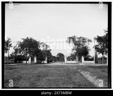 Entrée de Detroit, Woodward Avenue et E. Boston Boulevard, Detroit, Michigan, titre basé sur les informations de veste., 'Woodward Ave.' [Avenue] sur le panneau de rue., '32 c' sur négatif., Detroit Publishing Co. 042889., Gift ; State Historical Society of Colorado ; 1949, Streets. , États-Unis, Michigan, Detroit. Banque D'Images