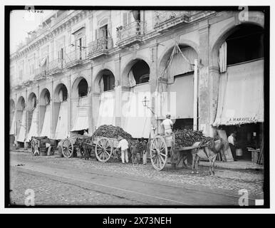 Wagon de fruits débarquant au marché, la Havane, Cuba, titre de la veste., '247' sur négatif., Detroit Publishing Co. no. 30878., Gift ; State Historical Society of Colorado ; 1949, Carts & wagons. , Marchés. , Bananes. , Vendeurs de nourriture. , Cuba, la Havane. Banque D'Images