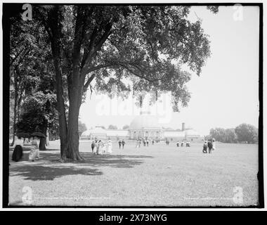 The Conservatory on belle Isle Park, Detroit, Mich., transparent en verre correspondant (avec le même code de série) disponible sur vidéocassette cadre 1A-30389., 'G 3[, .]46' sur négatif., transparent craqué en haut à gauche., Detroit Publishing Co. No. 018763., Gift ; State Historical Society of Colorado ; 1949, Greenhouses. , Parcs. , États-Unis, Michigan, Detroit. Banque D'Images