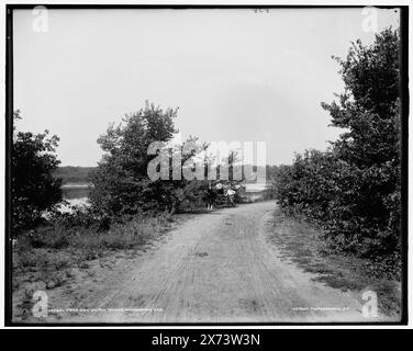 Allée sur l'île, Island Park, Wilmington, Illinois, '838' sur négatif., Detroit Publishing Co. no. 042621., Gift ; State Historical Society of Colorado ; 1949, Parks. , Routes. , États-Unis, Illinois, Wilmington. Banque D'Images