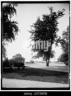 Bridge Approach, belle Isle, date basée sur Detroit, catalogue P (1906)., 'X' sur négatif., Detroit Publishing Co. No. 016499., Gift ; State Historical Society of Colorado ; 1949, Parks. , États-Unis, Michigan, Detroit. Banque D'Images