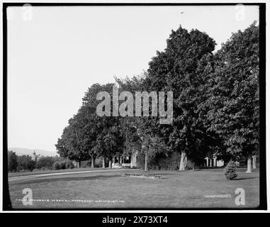 Résidence du révérend D.L. Moody, East Northfield, Mass., '445' sur négatif., Detroit Publishing Co. No. 013673., Gift ; State Historical Society of Colorado ; 1949, Moody, Dwight Lyman,, 1837-1899, maisons et repaires. , Habitations. , États-Unis, Massachusetts, East Northfield. Banque D'Images