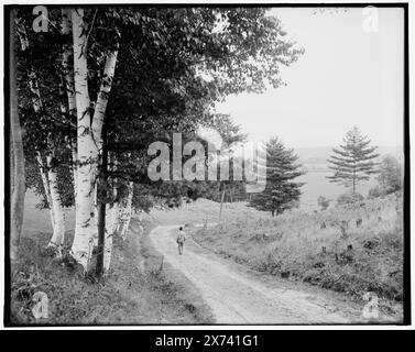 En bas de la route de Ethan Allen Farm, Burlington, V., titre de veste., partie de Ethan Allen Park., 'G 8543' sur négatif., Detroit Publishing Co. No. 500344., Gift ; State Historical Society of Colorado ; 1949, Roads. , Parcs. , États-Unis, Vermont, Burlington. Banque D'Images