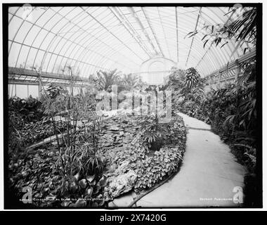 Conservatory on belle Isle Park, Interior, Detroit, Mich., 'G 3148' on Negative., Detroit Publishing Co. No. 034043., Gift ; State Historical Society of Colorado ; 1949, Greenhouses. , Intérieurs. , Plantes. , États-Unis, Michigan, Detroit. Banque D'Images