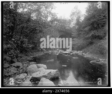 Nay Aug Glen près du tunnel, Scranton, Pa., Detroit Publishing Co. No. 011623., Gift ; State Historical Society of Colorado ; 1949, Rivers. , Canyons. , États-Unis, Pennsylvanie, Scranton. , États-Unis, Pennsylvanie, Roaring Brook. Banque D'Images