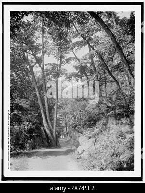 Split Rock Road, Ethan Allen Park, Burlington, Vt., mène à Split Rock., 'G 8552' sur négatif., Detroit Publishing Co. No. 072614., Gift ; State Historical Society of Colorado ; 1949, Parks. , Forêts. , États-Unis, Vermont, Burlington. Banque D'Images