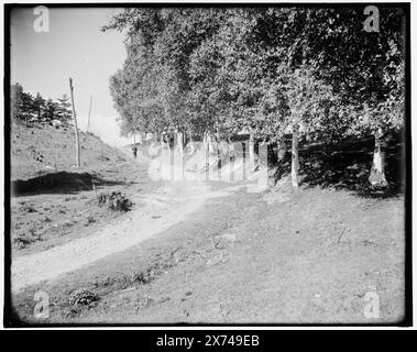 Ethan Allen Farm, en haut de la colline, Burlington, Vt., titre de veste., fait partie de Ethan Allen Park., 'G 8557' sur négatif., Detroit Publishing Co. no. 500340., Gift ; State Historical Society of Colorado ; 1949, Parks. , Routes. , États-Unis, Vermont, Burlington. Banque D'Images