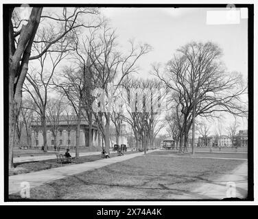 Temple Street and Church on the Green, New Haven, Conn., titre tiré de la veste., '3942' et 'extra' sur négatif., Detroit Publishing Co. No. 039344., Gift ; State Historical Society of Colorado ; 1949, Parks. , Rues. , Églises. , États-Unis, Connecticut, New Haven. Banque D'Images