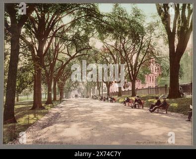 Beacon Street Mall, Boston, dans un album préparé par Detroit Photographic Co. Pour l'utiliser comme catalogue dans son bureau., Detroit Publishing Co., no. 53453., Gift ; State Historical Society of Colorado ; 1955, Streets. , Parcs. , États-Unis, Massachusetts, Boston. Banque D'Images